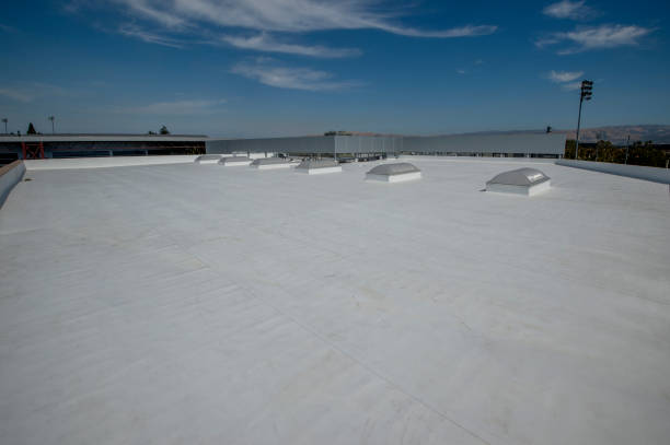 Best Flat Roofing  in Rushvle, IL