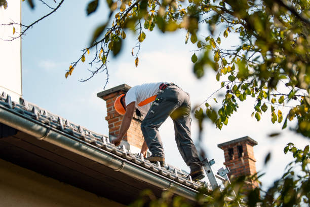 Best Roof Moss and Algae Removal  in Rushvle, IL