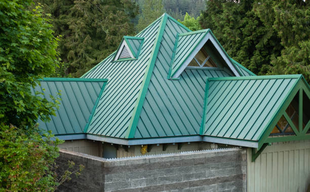 Best Solar Panel Roofing Installation  in Rushvle, IL